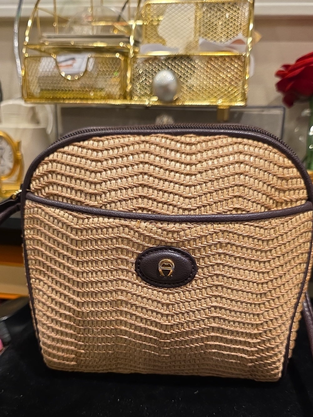 Etienne Aigner Tan Woven Crossbody with Dark Brown Trim